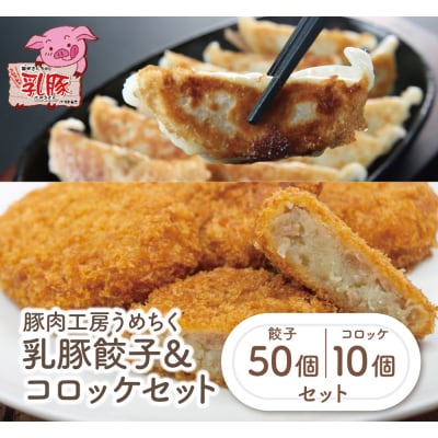 寄附額改定↓↓ 乳豚 餃子50個&コロッケ10個セット