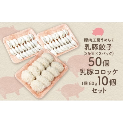 寄附額改定↓↓ 乳豚 餃子50個&コロッケ10個セット