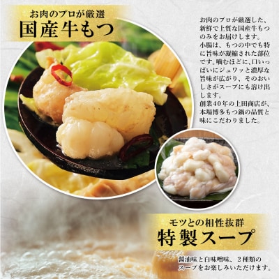 寄附額改定↓↓ お徳用もつ鍋(醤油味・白味噌味/各4～5人前)
