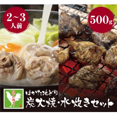 寄附額改定↓↓ はかた地どり 炭火焼500g&水炊き(2～3人前)セット