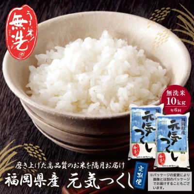 寄附額改定↓↓ 無洗米 福岡県産・元気つくし10kg定期便(隔月・年6回)