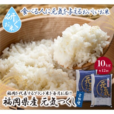 寄附額改定↓↓ 研ぐお米 福岡県産・元気つくし10kg定期便(毎月・年12回)
