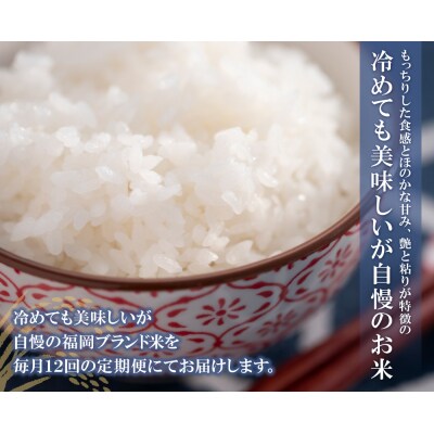 寄附額改定↓↓ 研ぐお米 福岡県産・元気つくし10kg定期便(毎月・年12回)