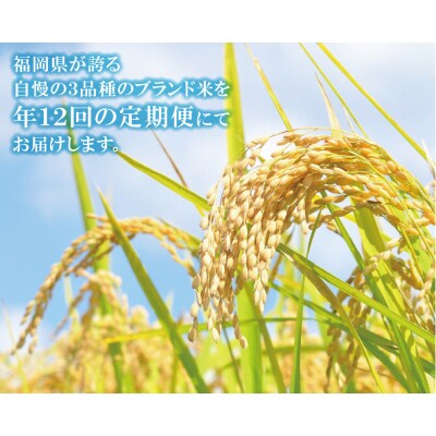 寄附額改定↓↓ 研ぐお米 福岡県産米3品種セット定期便(毎月・年12回)