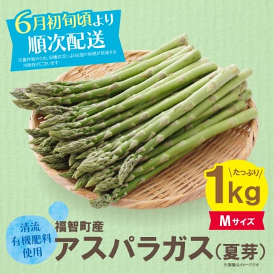 寄附額改定↓↓ 清流・有機肥料使用 アスパラガス(夏芽) 1kg(M)