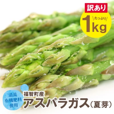 寄附額改定↓↓ 【訳あり】清流・有機肥料使用 アスパラガス(夏芽) 1kg