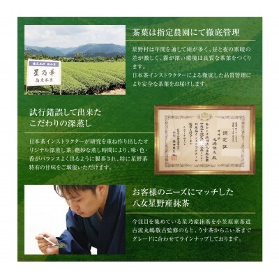 寄附額改定↓↓ 【徳用サイズ】八女星野 玉露ティーバッグ(100P)
