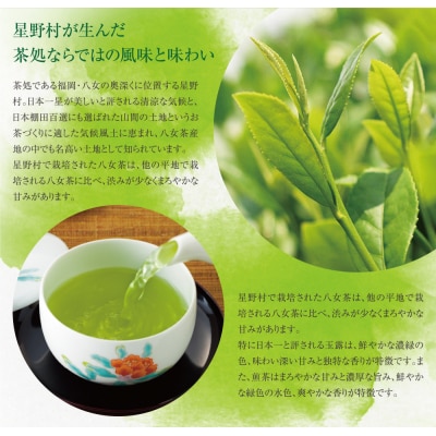 寄附額改定↓↓ 星乃煌(玉露・煎茶 各150g)
