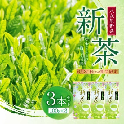 寄附額改定↓↓ 新茶 八女星野茶　100g×3本