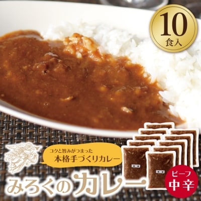 寄附額改定↓↓ みろくのカレー10食セット(中辛10食)