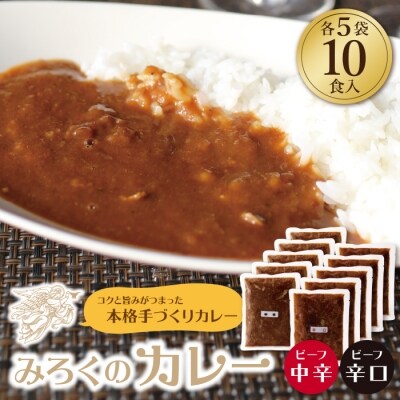 寄附額改定↓↓ みろくのカレー10食(中辛5食・辛口5食)