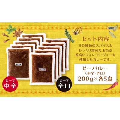 寄附額改定↓↓ みろくのカレー10食(中辛5食・辛口5食)
