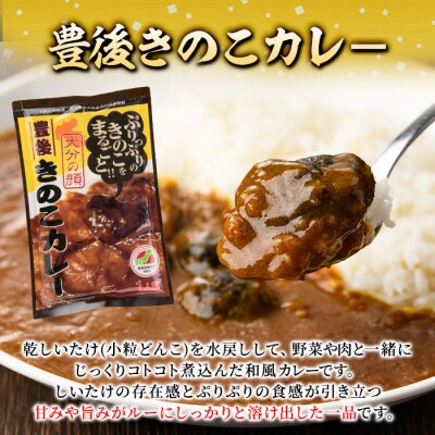 豊後きのこカレ-(180g×10個)