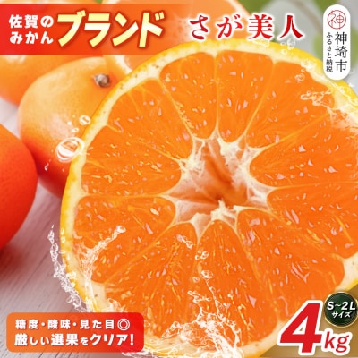 【2026年10月上旬より発送開始】佐賀美人(みかん) 4kg S～2Lサイズ(H116142)