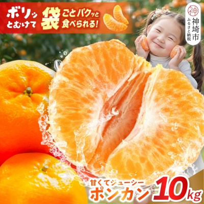 【2027年1月中旬より発送開始】ポンカン 10kg(H116147)