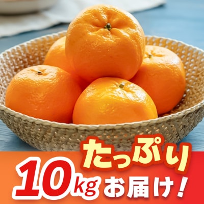 【2027年1月中旬より発送開始】ポンカン 10kg(H116147)