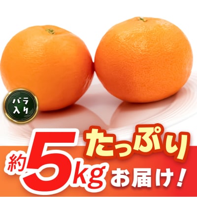 【2027年3月上旬より発送開始】にじゅうまる 約5kg バラ入り(H116162)