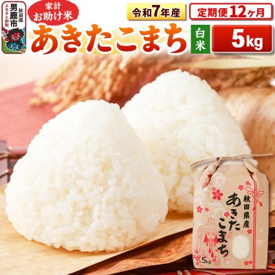 《定期便12ヶ月》令和7年産 【白米】家計お助け米 あきたこまち 5kg|23_kml-010512