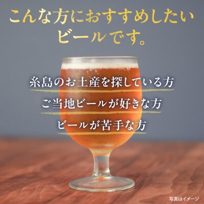 【全6回定期便】いとしまBEER (ペールエール) 330ml×10本 糸島市 [AUA057]