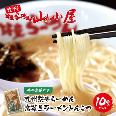 寄附額改定↓↓ 九州筑豊ラーメン 高菜生ラーメンとんこつ10食セット