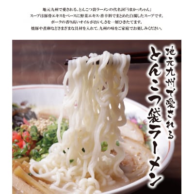 寄附額改定↓↓ 【7営業日以内発送】うまかっちゃん 豚骨ラーメン 10食セット