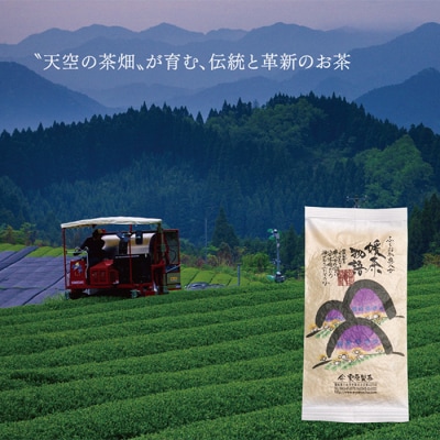 寄附額改定↓↓ 八女茶 栗原製茶 伝統本玉露「匠」100g