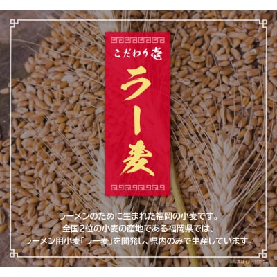 寄附額改定↓↓ 博多とんこつラーメン5食(ラー麦使用)