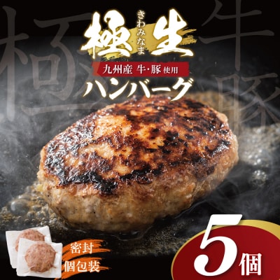 寄附額改定↓↓ 極生ハンバーグ 5個セット(150g×5) 