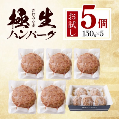 寄附額改定↓↓ 極生ハンバーグ 5個セット(150g×5) 