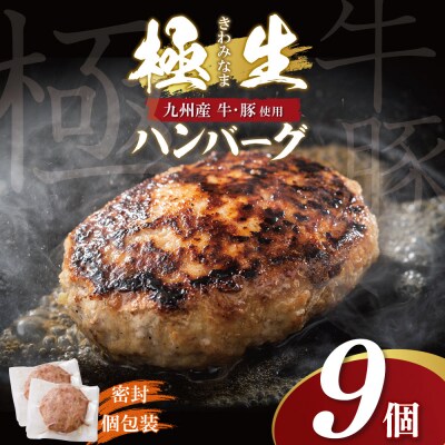 寄附額改定↓↓ 極生ハンバーグ 9個セット(150g×9) 