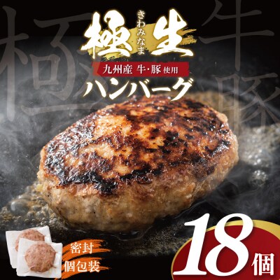 寄附額改定↓↓ 極生ハンバーグ 18個セット(150g×18)