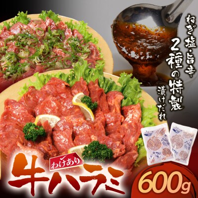 寄附額改定↓↓ 【訳あり】 牛ハラミ肉2種(旨辛ダレ、ねぎ塩) 600g