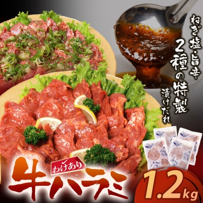 寄附額改定↓↓ 【訳あり】牛ハラミ肉2種(旨辛ダレ、ねぎ塩) 1.2kg
