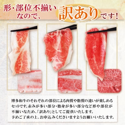 寄附額改定↓↓ 【訳あり】博多和牛　切り落とし1kg (500g×2パック)
