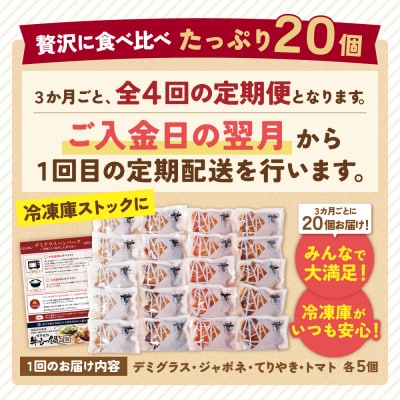 寄附額改定↓↓ 【4回定期便】Best4バーグ(デミグラスソース)20個【合挽4種・各5個】