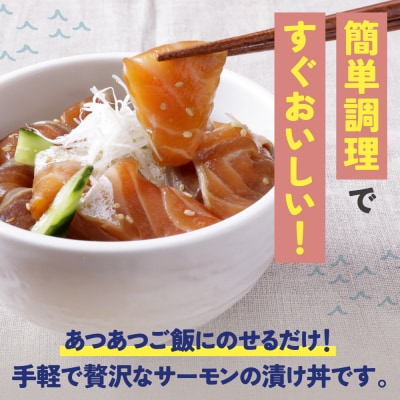 寄附額改定↓↓ サーモン漬け丼セット(醤油・ごま・ポキ) 計10パック
