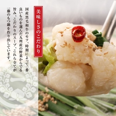 寄附額改定↓↓ 【スピード発送】 一藤　もつ鍋(醤油)2～3人前