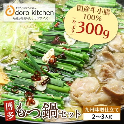寄附額改定↓↓ おどろきっちん 博多もつ鍋セット(九州味噌仕立て)2～3人前