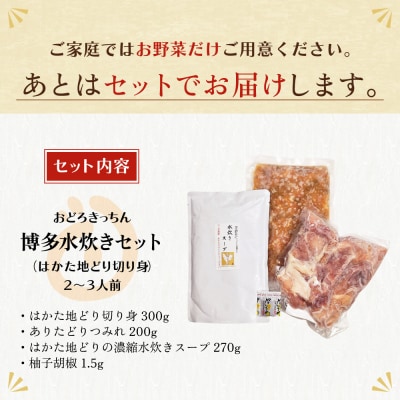 寄附額改定↓↓ おどろきっちん 博多水炊き(はかた地どり切り身・つみれ)セット2～3人前
