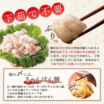 寄附額改定↓↓ 【牛もつ2倍】博多もつ鍋(醤油味)3人前