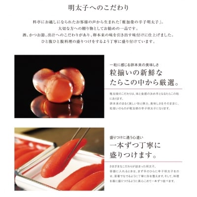 寄附額改定↓↓ 稚加榮　辛子明太子(化粧箱入)445g MA4