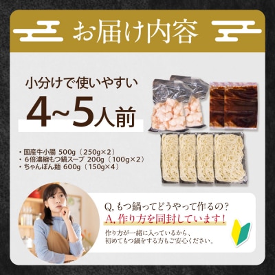 寄附額改定↓↓ 博多特選もつ鍋(4～5人前)(2パック小分け)(醤油味)