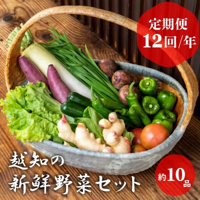 越知産市の季節の野菜セット(年12回発送)　産地直送　旬野菜