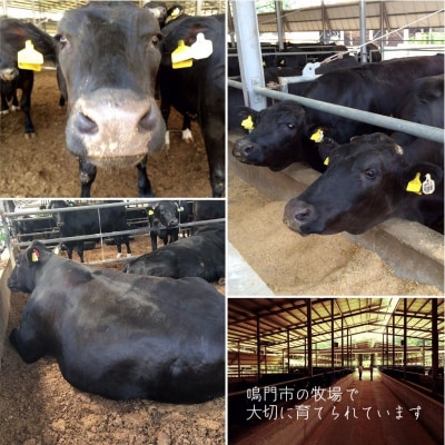 黒毛牛 阿波黒牛 ロース 赤身 400g すき焼き用