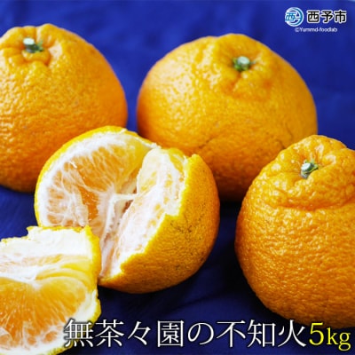 <無茶々園の不知火(デコポン)　3kg>　柑橘　フルーツ　果物　愛媛　期間限定
