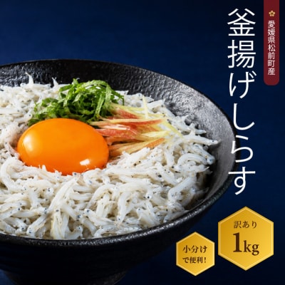 しらす 1kg  訳あり 釜揚げ  | ワケアリ 愛媛県 松前町 【AIS001】
