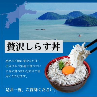 しらす 1kg  訳あり 釜揚げ  | ワケアリ 愛媛県 松前町 【AIS001】