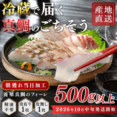 【先行受付】 朝獲れ 真鯛 フィーレ 皮付き 皮なし 500g以上 冷蔵 養殖 たい タイ マダイ