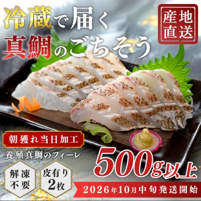 【先行受付】 朝獲れ 真鯛 フィーレ 皮付き 500g以上 刺身 冷蔵 養殖 たい タイ マダイ セ