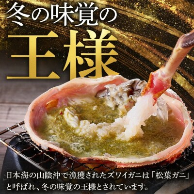 <11月中旬～3月中旬発送予定><期間限定>活松葉ガニ 特々大 1.2kg以上
